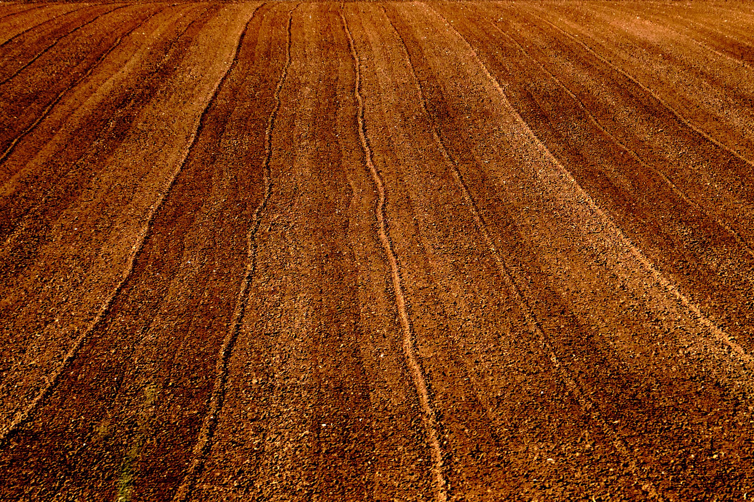 Texture #1