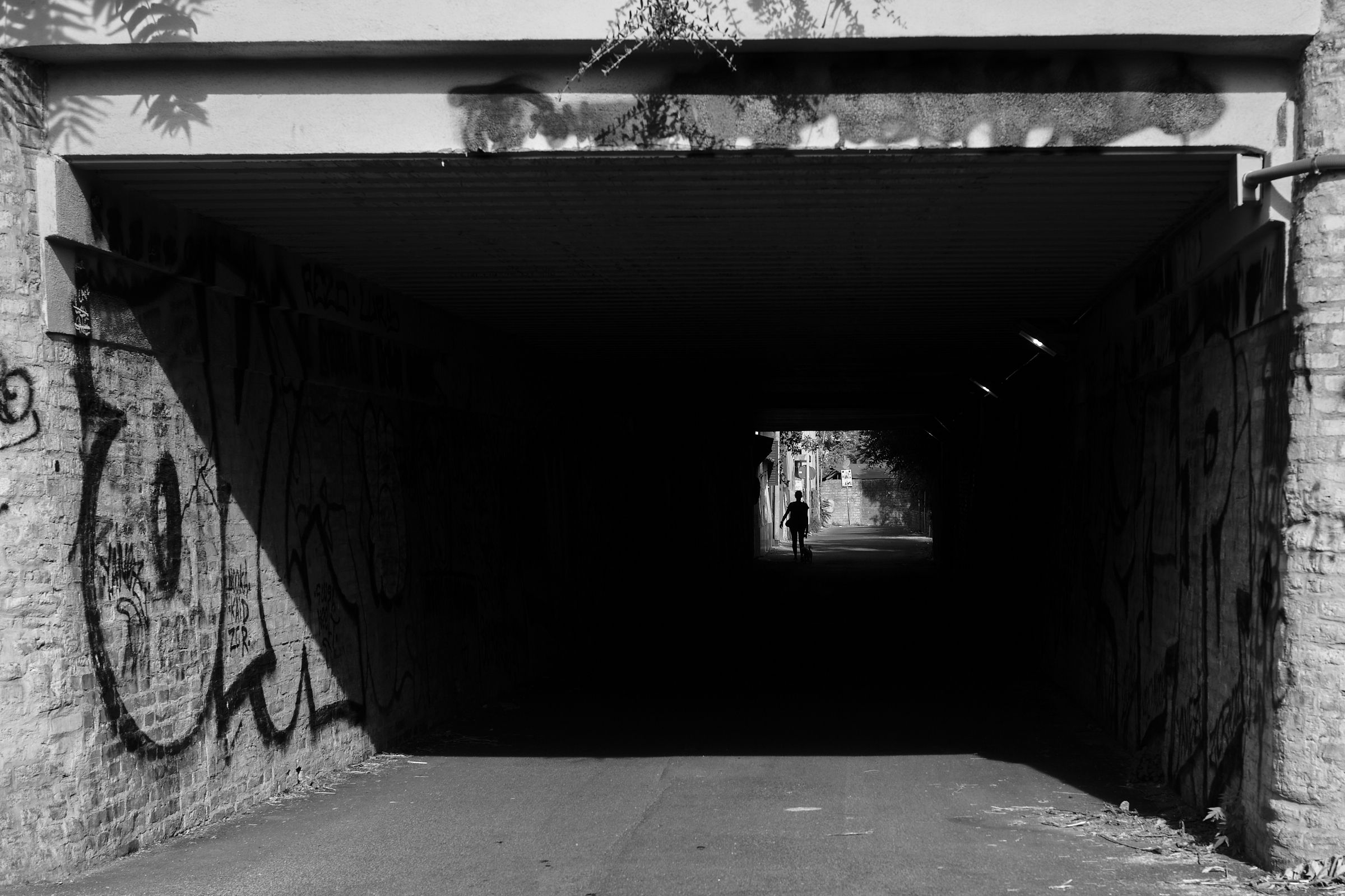 Controluce