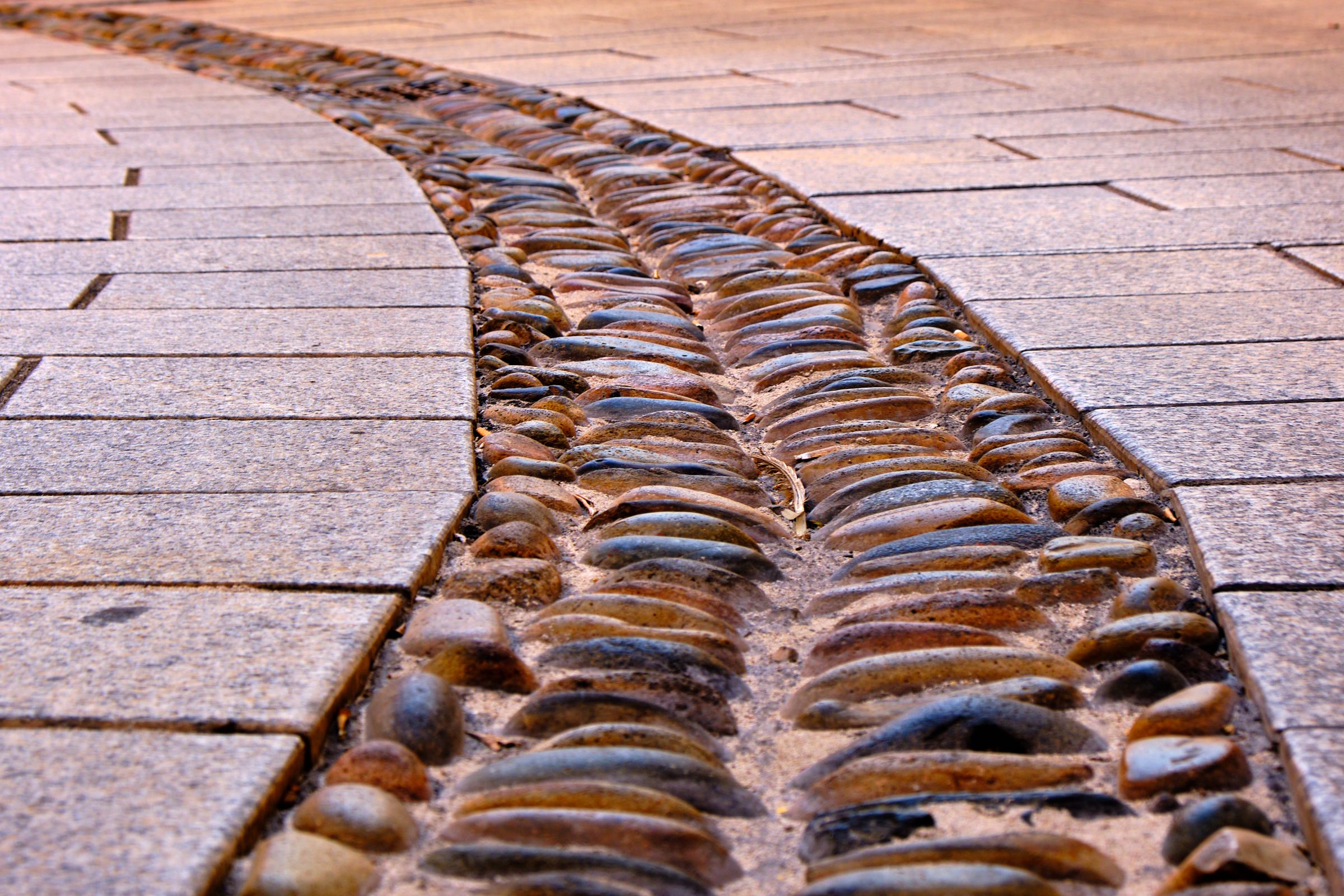 Spina di Pesce