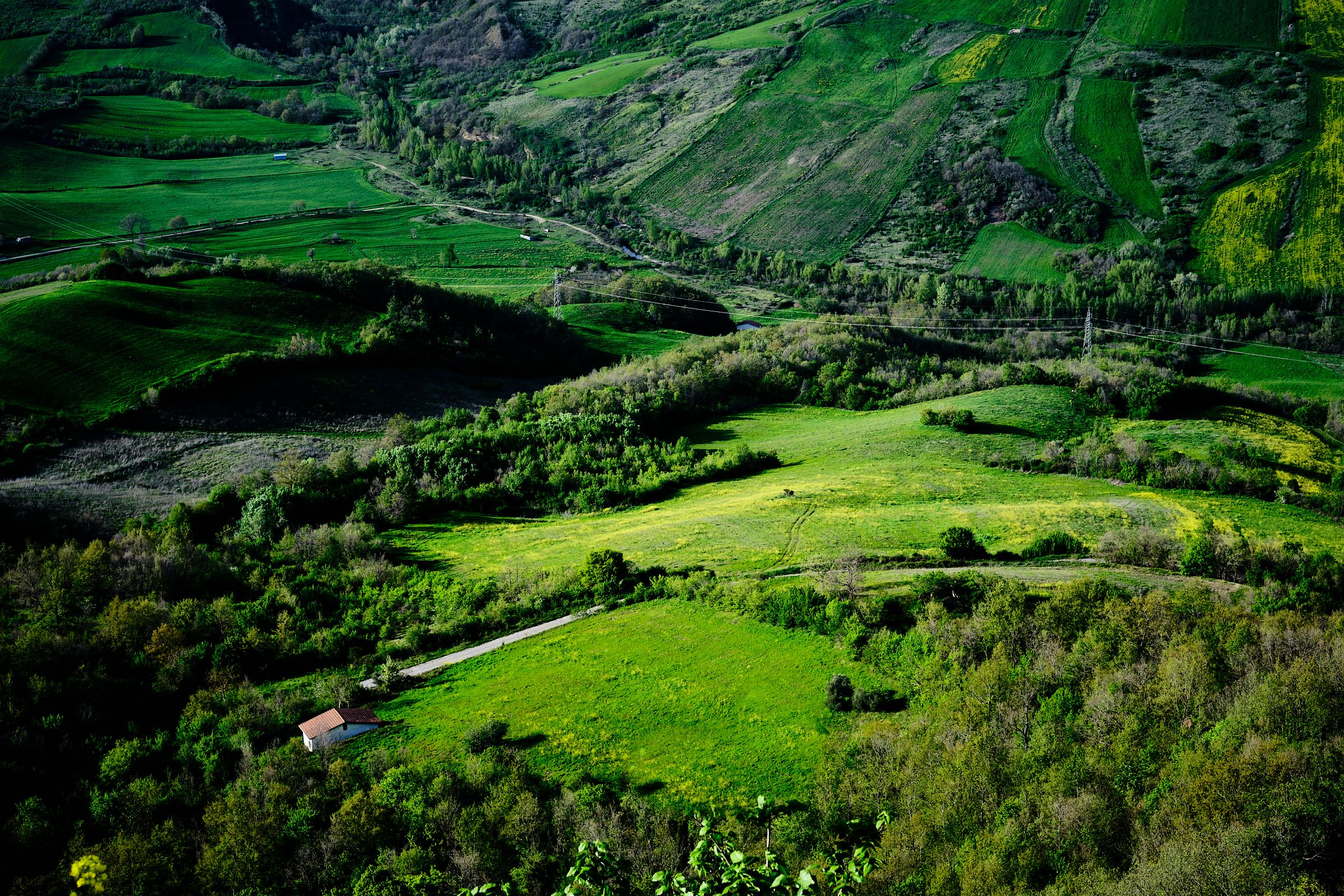 La Verde Irpinia #2