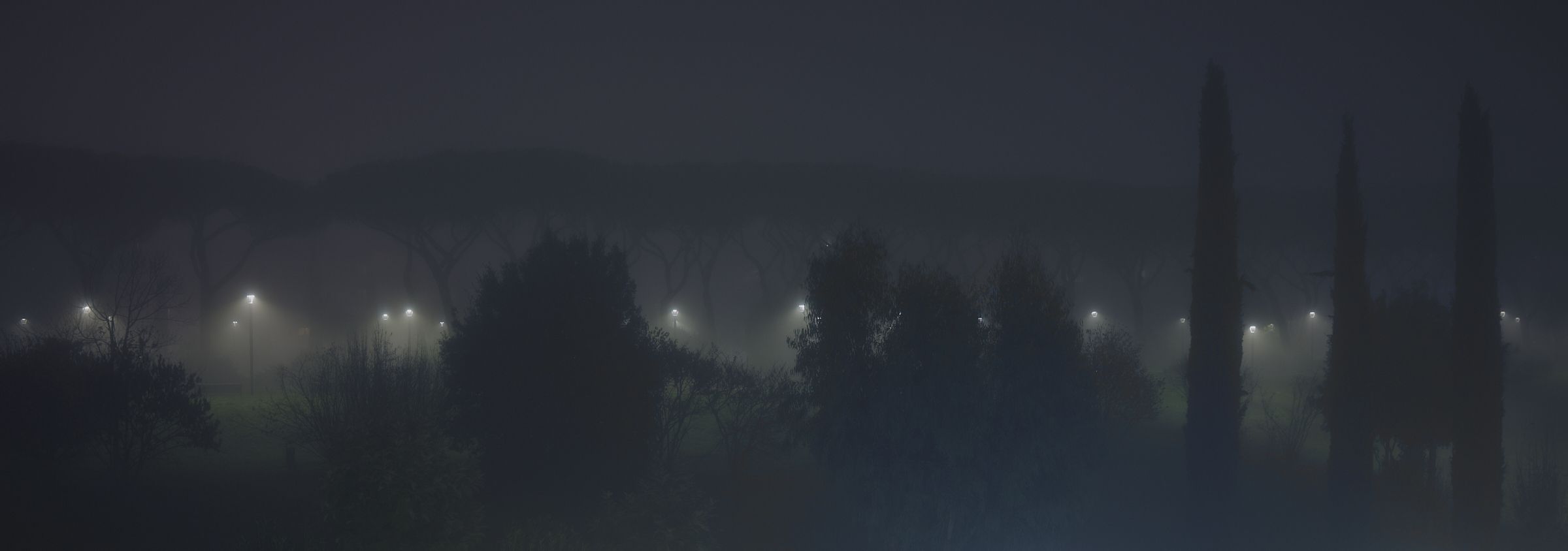 Nebbia nel Parco