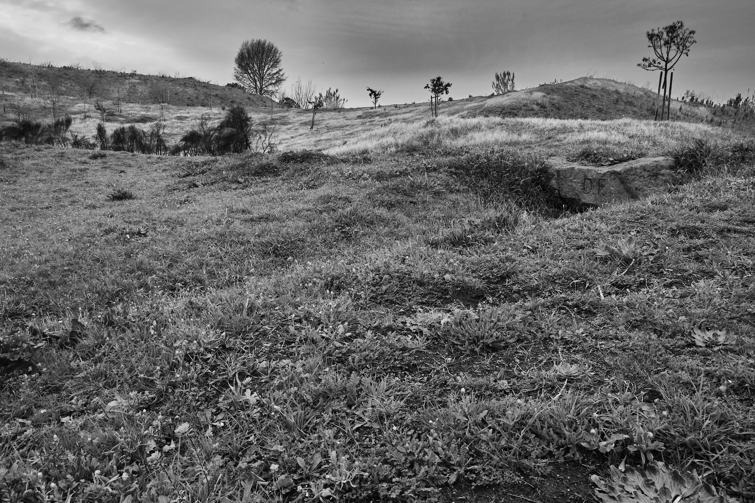 Nel Parco Archeologico